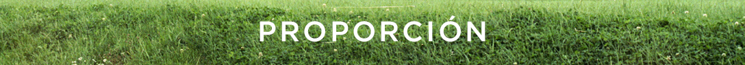 Proporción